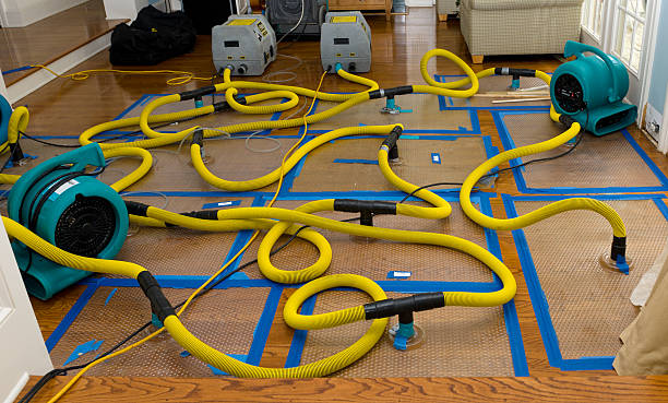 Professional Water Damage Restoration technician working in Mount Pleasant, WI